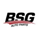 BSG