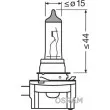Ampoule, projecteur longue portée OSRAM 64242 - Visuel 3