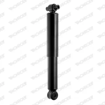 Jeu de 2 amortisseurs avant MONROE