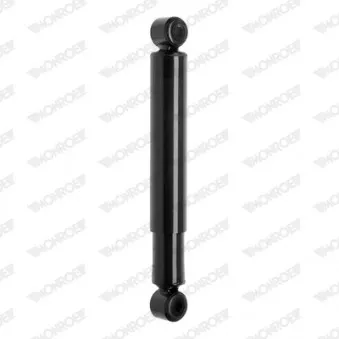 Jeu de 2 amortisseurs avant MONROE