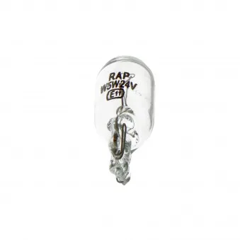 Ampoule, feu clignotant RAP LIGHTING RAP-W5W24V