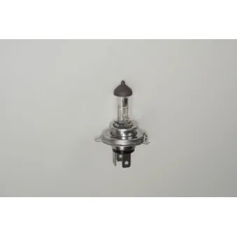 Ampoule, projecteur longue portée RAP LIGHTING