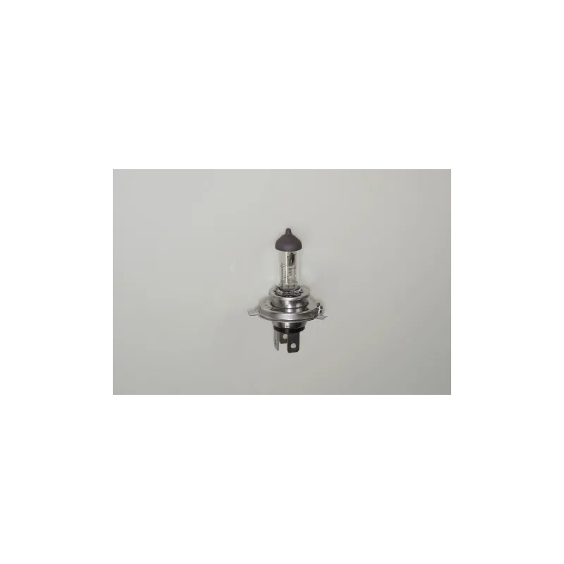 Ampoule, projecteur longue portée RAP LIGHTING RAP-H424V