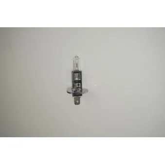 Ampoule, projecteur longue portée RAP LIGHTING