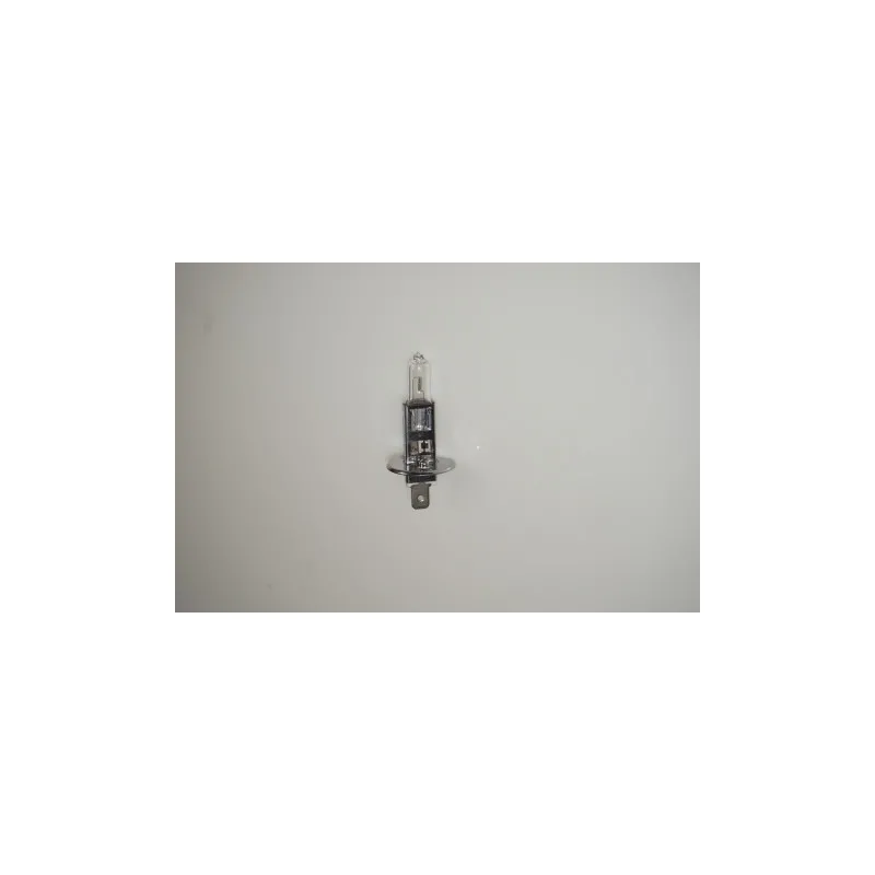 Ampoule, projecteur longue portée RAP LIGHTING RAP-H1