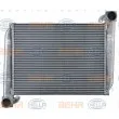 Intercooler, échangeur HELLA 8ML 376 724-391 - Visuel 2