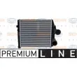 Intercooler, échangeur HELLA 8ML 376 724-261 - Visuel 2