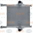 Intercooler, échangeur HELLA 8ML 376 724-271 - Visuel 2