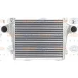 Intercooler, échangeur HELLA 8ML 376 776-741 - Visuel 2