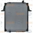 Radiateur, refroidissement du moteur HELLA 8MK 376 721-781 - Visuel 2