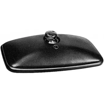 Rétroviseur extérieur HELLA 8SB 501 156-021
