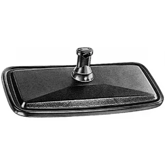 Rétroviseur extérieur HELLA 8SB 003 290-011