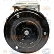 Compresseur, climatisation HELLA 8FK 351 119-891 - Visuel 1