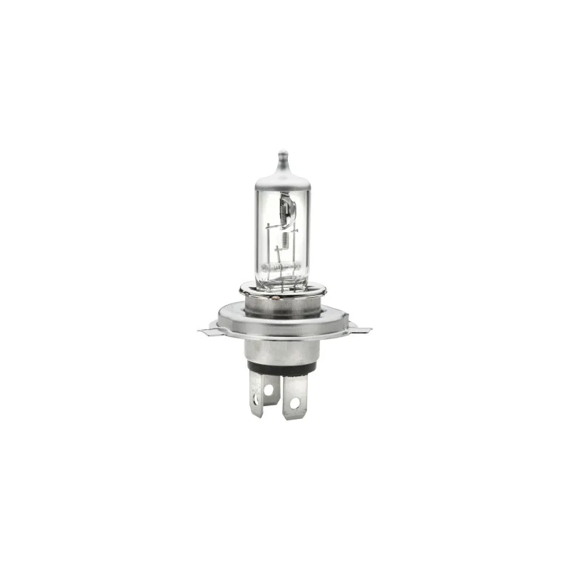 Ampoule, projecteur principal HELLA 8GJ 002 525-898