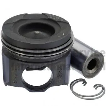 Piston KOLBENSCHMIDT 41101600