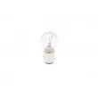 Ampoule BOSCH 1 987 302 524 - Visuel 1