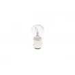 Ampoule BOSCH 1 987 302 524 - Visuel 3