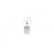 Ampoule, feu clignotant BOSCH 1 987 302 201 - Visuel 2