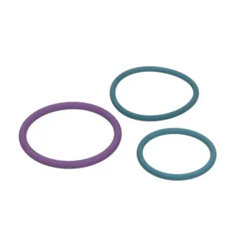 Kit de joints, injecteur ENGITECH