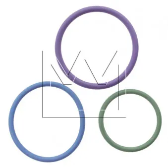 Joints d'injecteur MONARK