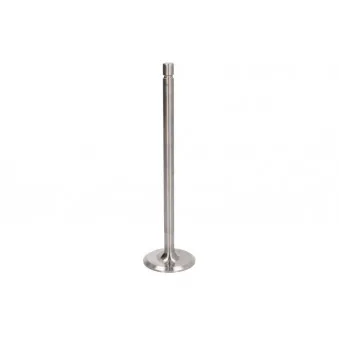 Soupape d'admission PARADOWSCY PVOL021