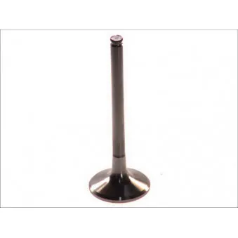 Soupape d'admission PARADOWSCY PMER003