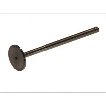 Soupape d'admission PARADOWSCY