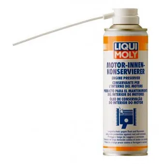 Nettoyant pour moteurs LIQUI MOLY