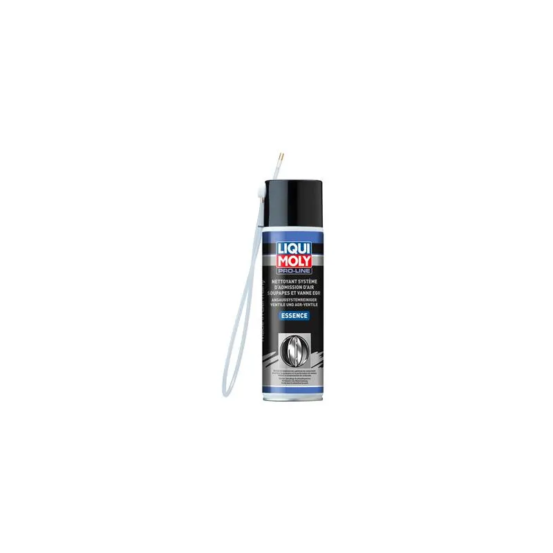 Nettoyant corps papillon LIQUI MOLY 21513
