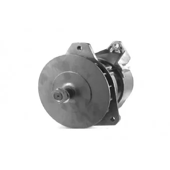 Alternateur DA SILVA 010020