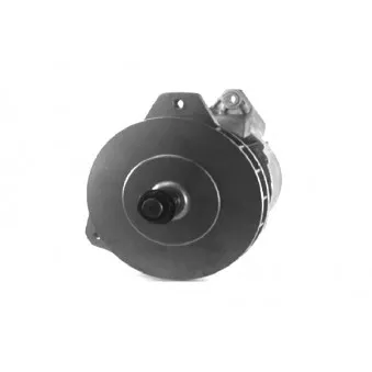 Alternateur DA SILVA 010785