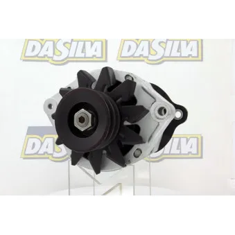 Alternateur DA SILVA 010832