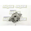 Alternateur DA SILVA 030122 - Visuel 3