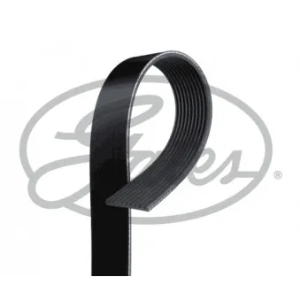 Courroie trapézoïdale à nervures GATES 10PK2234HD