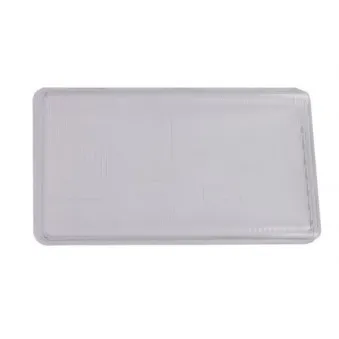 Disperseur, projecteur principal TRUCKLIGHT