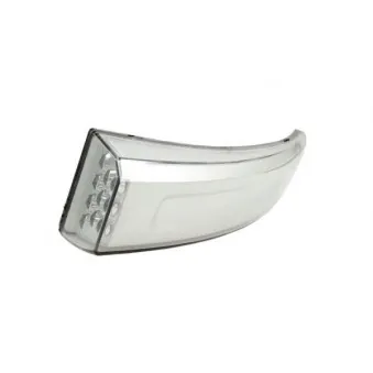 Feu clignotant TRUCKLIGHT CL-VO009L