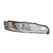 Feu clignotant avant droit  TRUCKLIGHT CL-ME013R - Visuel 1