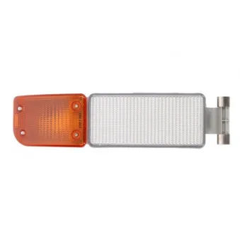 Feu clignotant TRUCKLIGHT