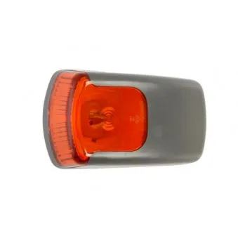 Feu clignotant TRUCKLIGHT