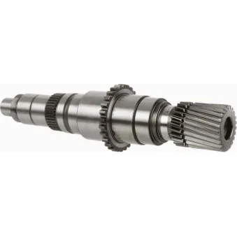 Arbre primaire boite de vitesses ZF 0073.301.016