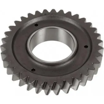 Pignon, marche arrière (pignon de retour) ZF 0073.301.003