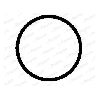 Joint d'étanchéité, collecteur d'échappement PAYEN