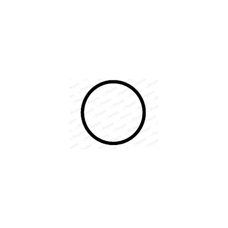 Joint d'étanchéité, collecteur d'échappement PAYEN JD5271