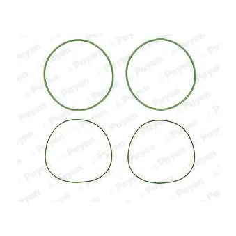 Jeu de joints d'étanchéité, chemise de cylindre PAYEN