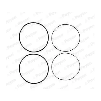 Jeu de joints d'étanchéité, chemise de cylindre PAYEN