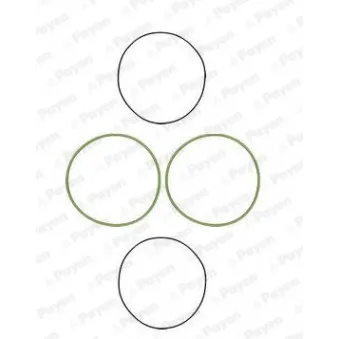 Jeu de joints d'étanchéité, chemise de cylindre PAYEN