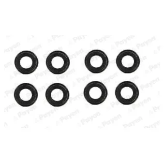 Jeu de joints d'étanchéité, tige de soupape PAYEN