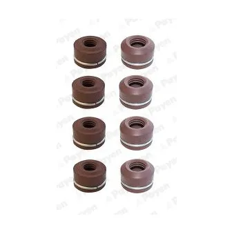 Jeu de joints d'étanchéité, tige de soupape PAYEN