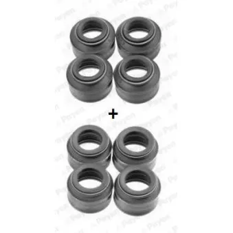 Jeu de joints d'étanchéité, tige de soupape PAYEN