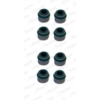 Jeu de joints d'étanchéité, tige de soupape PAYEN